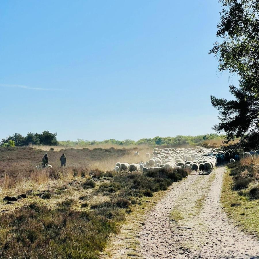 Luxe Vakantiehuis Huismus Veluwe Nunspeet Eksteriør bilde
